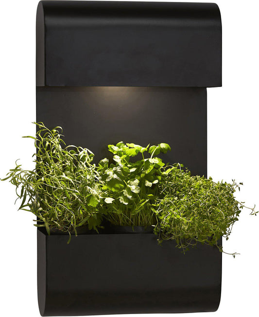 Anibe Lifestyle - Planta - Vägglampa Svart IP44
