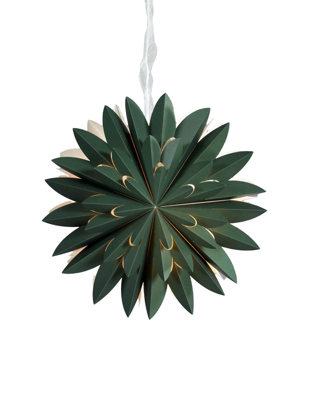 Anibe Lifestyle - Hyacint - Julstjärna Grön 50cm