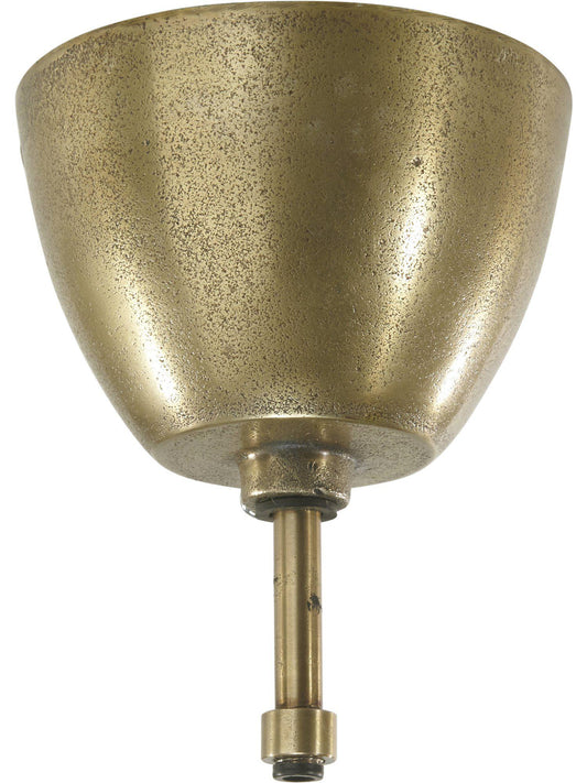 Anibe Lifestyle - Takkopp - Råguld 12cm