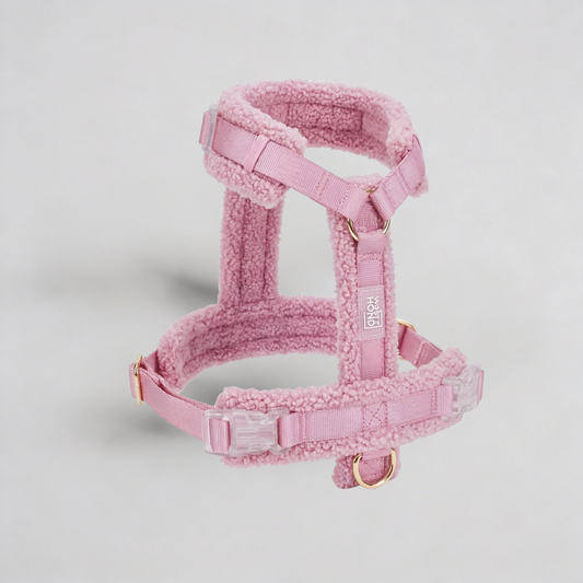 Hundegeschirr-Set Teddy Rosa-0