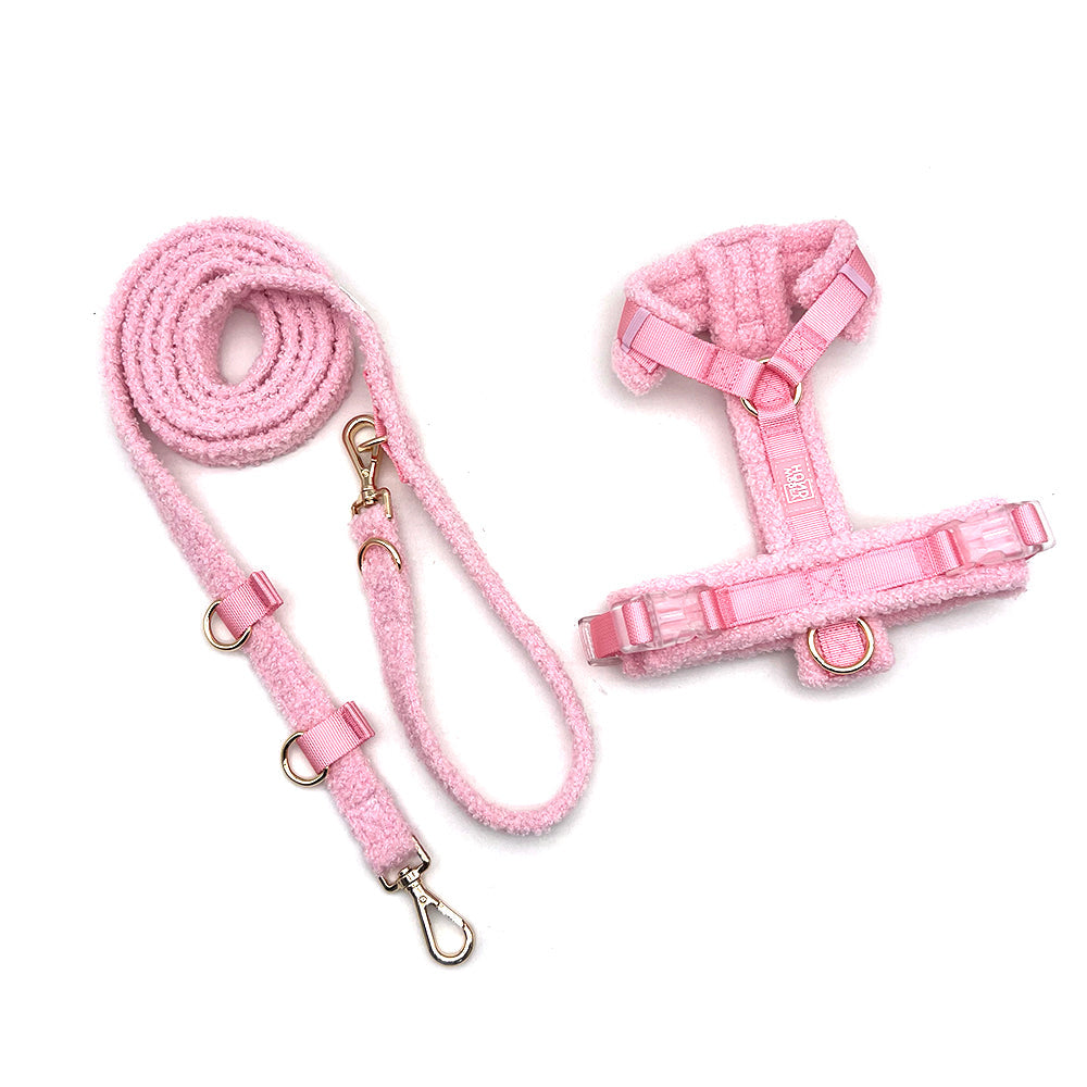 Hundegeschirr-Set Teddy Rosa-4