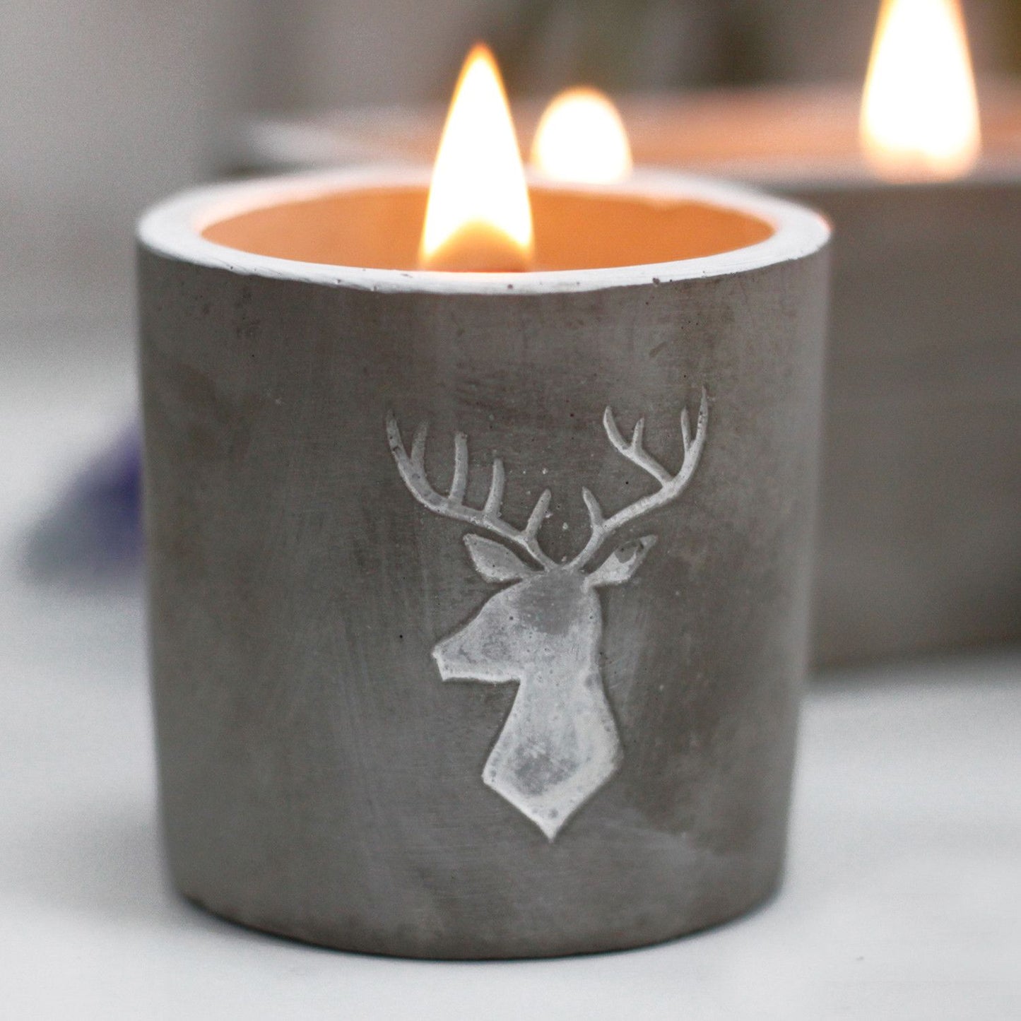 Doftljus i betong – Stag Head – Whiskey & Woodsmoke