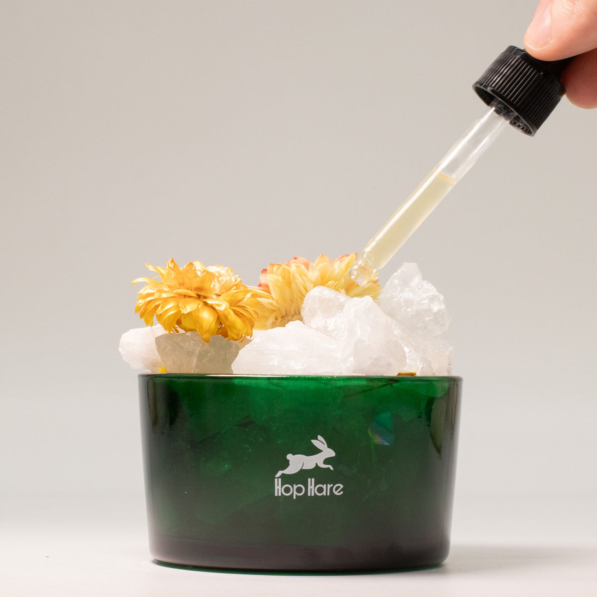 Anibe Lifestyle - Hop Hare Kristall och Blomset - The Lion