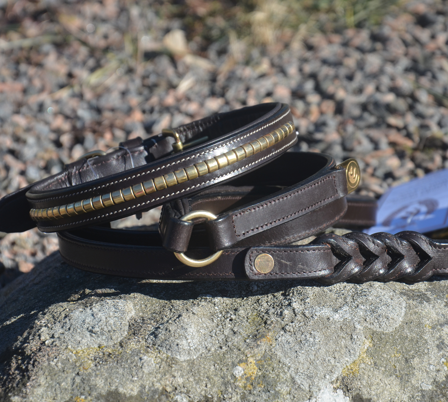 Premium dog collar in natural tanned leather and classic clincher-2