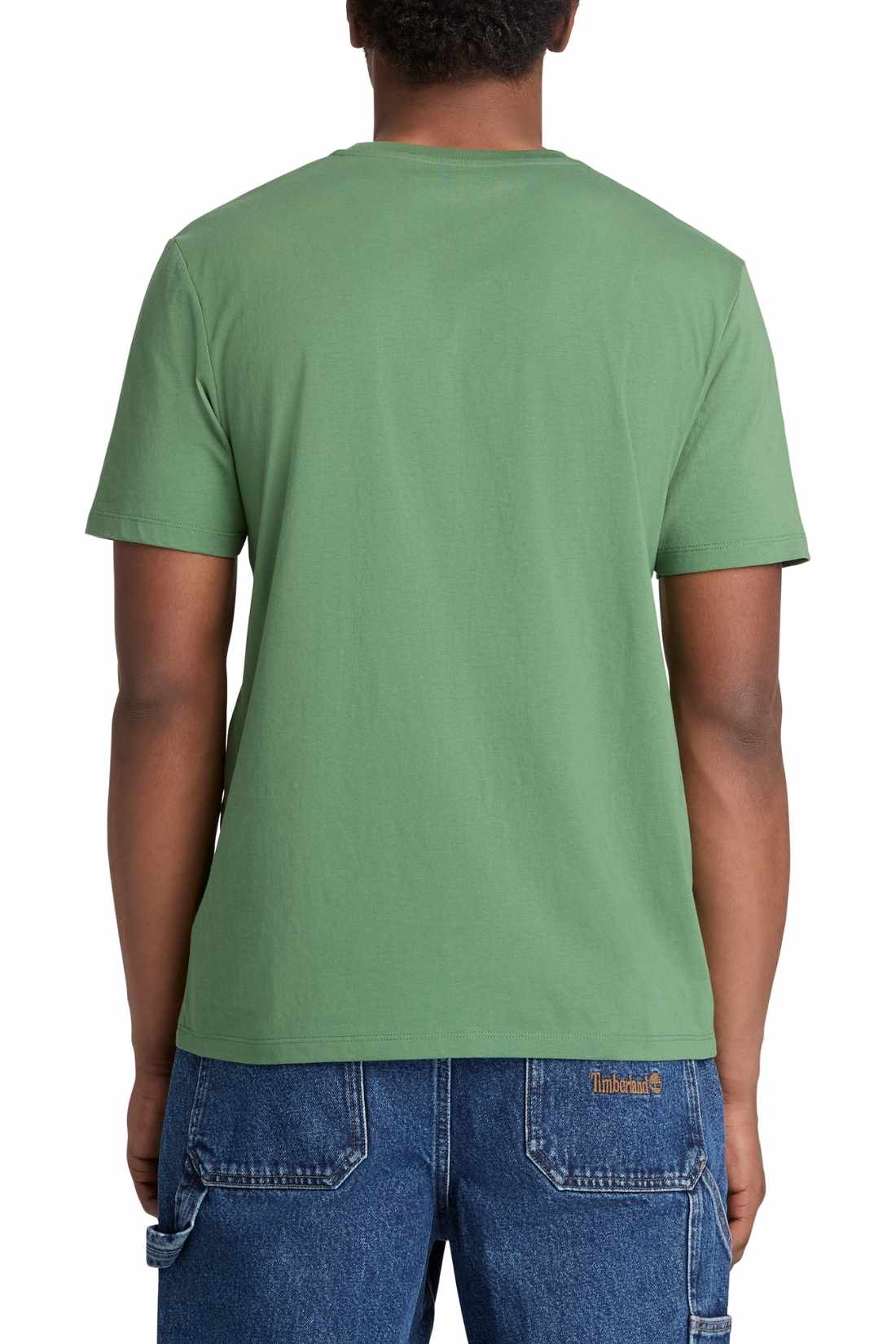 TIMBERLAND - Men's T-shirt with linear logo  - Size 3XL-2